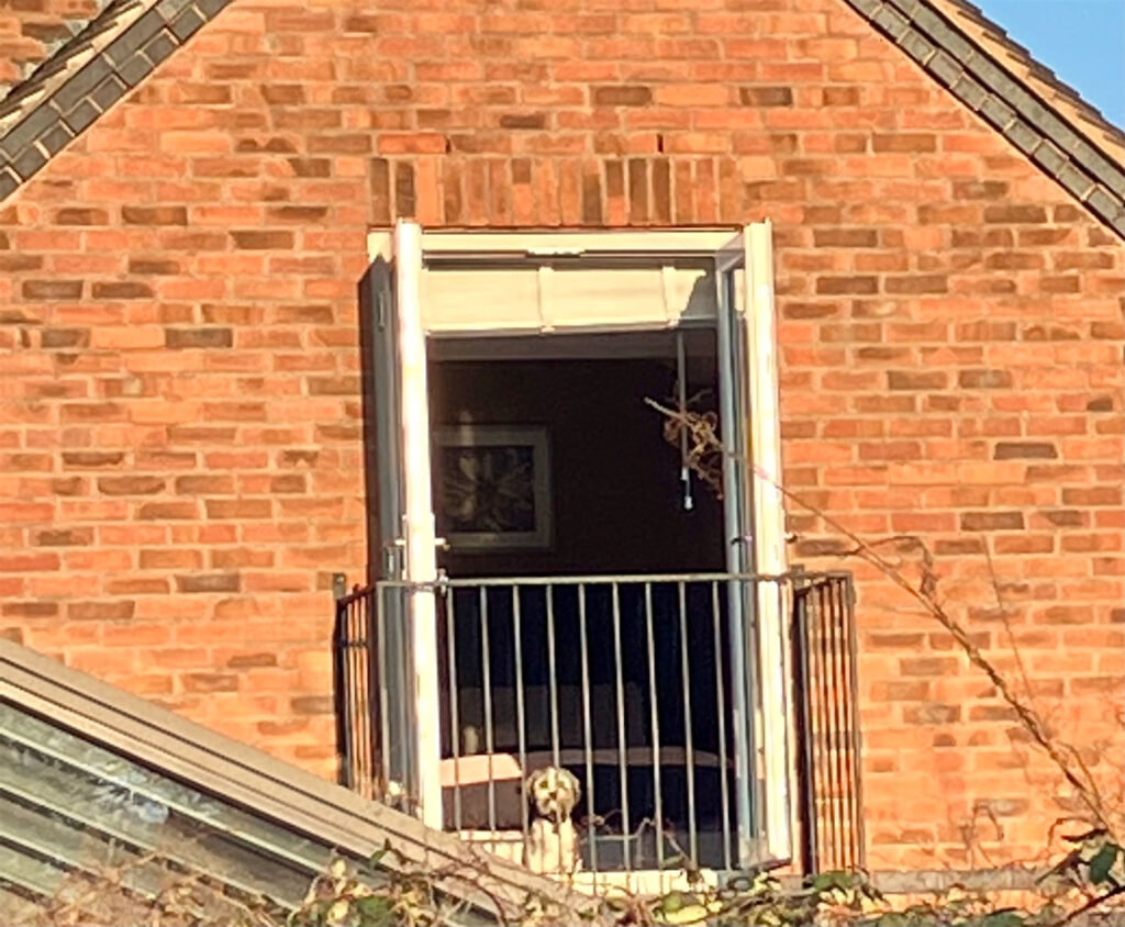 french doors
